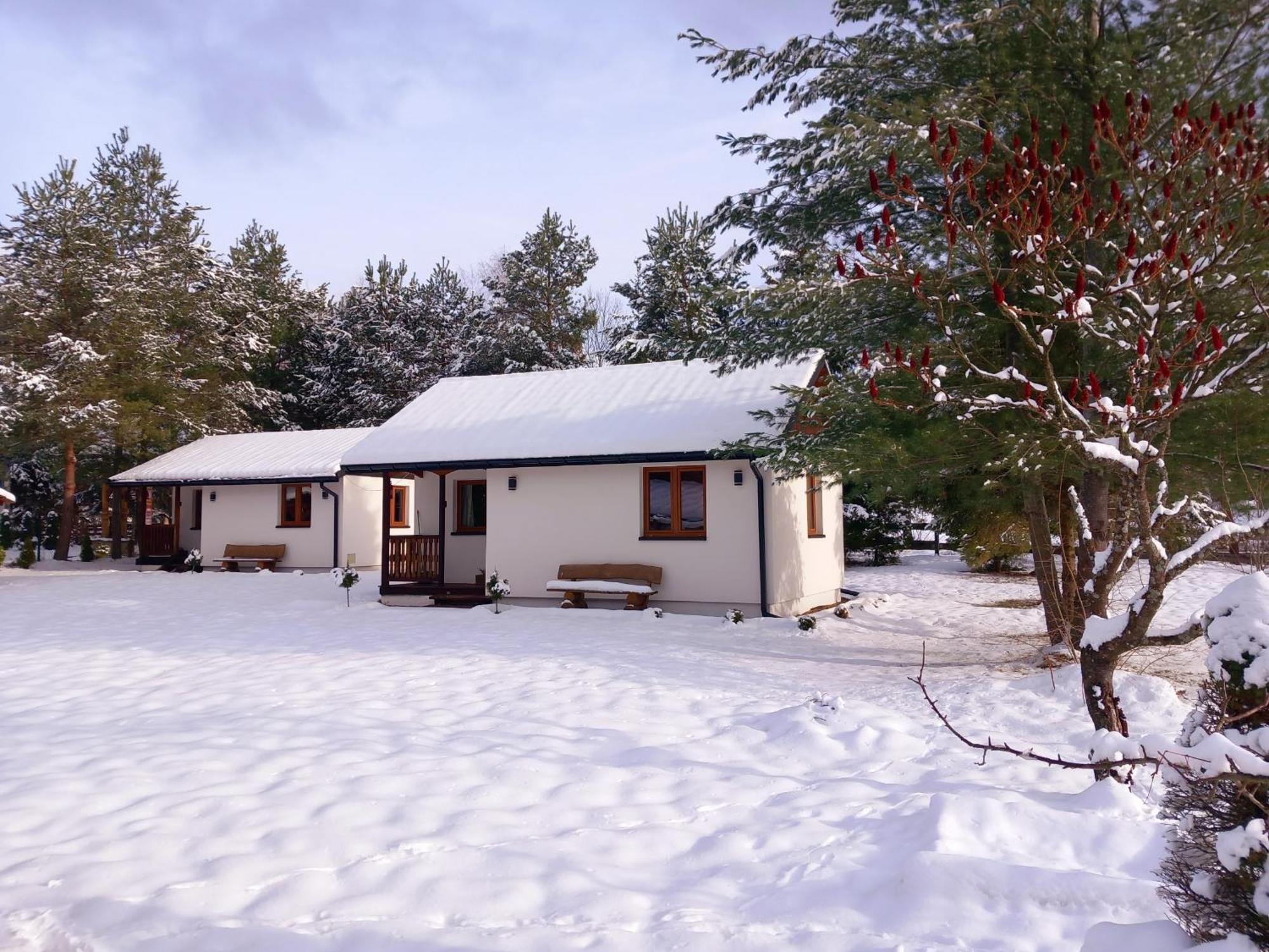 Chatki Lesniczego Bukowiec  Exterior foto